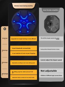 SHENWO | Smart Music Electronic Home Training Wall-mounted Boxing Machine