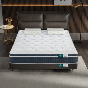 Airland | Firm Spinal Support Mattress 7-zone Spine Protection Coconut Fiber Latex