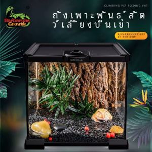Glass Eco Rainforest Habitat for Land And Aquatic Reptiles Tarantulas Crabs Spiders Pet Lizards And Frogs by Rep-Shop