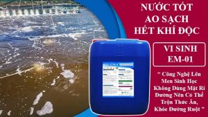Vi Sinh EM Gốc Chai 1L Dùng Cho Chăn Nuôi Nông Nghiệp Làm Sạch Nước Ao Nuôi Tôm Cá SP KHKT Hero