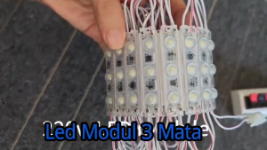 Lampu Led Modul 3 Mata Samsung Tipe 6313 AC 220 Volt 1.5 Watt SMD 3030 Waterproof IP 65..(Neon BoxReklame)..