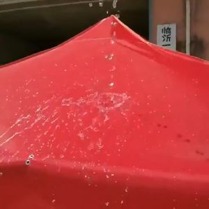 เต็นท์ผ้าใบ ผ้าเต้น 2×3 3×3 ผ้าคลุมเต๊นท์ ผ้าคลุมเต้น ผ้าเต็นท์ ผ้าเต้นท์ 2×2 เต้นผ้าใบกันฝน เต๊นท์ขายของ ผ้าเต็นท์ เต้นพับ ผ้าใบเต้น ผ้าเต้นท์