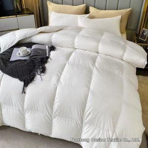 Warm & Thick Winter Duvet Insert