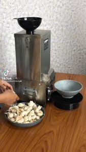 OSSEL Mesin Kupas Bawang Putih Pengupas Bawang Putih Listrik OS-KB-200 OSSEL