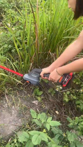 Máy cắt tỉa hàng rào cắt cây cảnh KUTAN động cơ lõi đồng 100% - chân pin phổ thông 4cm