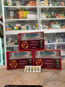 Viên uống hỗ trợ mát gan giải độc gan xơ gan gan nhiễm mỡ  BOGA NamAnh plus - Hộp 60 viên