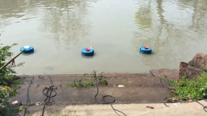 【รับประกัน 2 ปี】ปั้มน้ำพุโซล่าเซลล์ ปั้มน้ำออกซิเจนลอยน้ำ 1600W 220V สายไฟ 15 เมตร ปั้มน้ำบ่อปลา กังหันตีน้ำ ปั๊มดูดน้ำเติมออกซิเจน ปั้มน้ำ ปั้มออกซิเจนเพาะเลี้ยงสัตว์น้ำ ปั๊มน้ำลอยน้ำ ปั๊มน้ำพุ