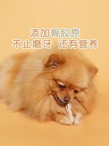 Furiri 250g Dog Molar Toothbrush Cleaning Dental Chewing Treats Snacks Teeth Chew Dog Chicken Beef Bone Brush Dog Food