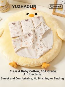 Yuzhaolin | New Cotton Breathable Antibacterial High-cut Womens Underwear