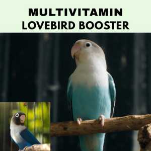 Vitamin Burung Gacor 30 ml Untuk Lovebird Vitamin Penggacor Burung Rekomendasi Burung Kicau