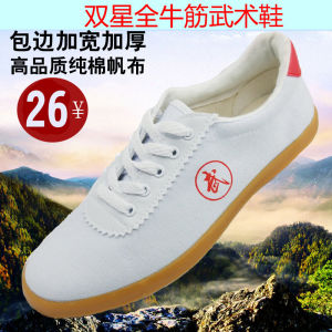 Qingdao Eagles Genuine Goods Martial Arts Shoes Practice Shoes Mens and Womens Tai Chi Shoes Morning Exercise Shoes Kung Fu Training Shoes Canvas Shoes Spring and Summer