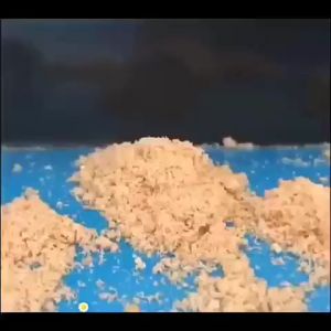 Cockroach eradication rate of 99% Cockroach bait Cockroach killer Kill bait powder pesticide Cockroach trap Pest trap Non toxic household use 蟑螂药