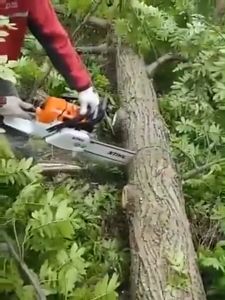 Ni-Tool. Reaim 4800W High-Power Gasoline Chainsaw 52CC 2-Stroke Engine for Professional Logging with Fuel-Saving Carburetor and Easy Brake