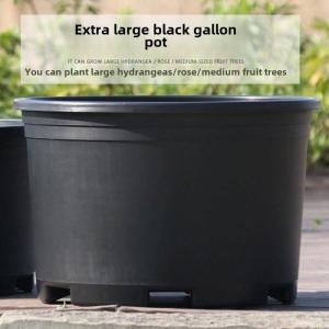 Extra Large Diameter Pot Planter