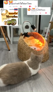 ขั้วหลอดไฟเซรามิค หลอดไฟ e27 led ไฟกกนก ไฟกกสัตว์ ไฟกกสัตว์เลี้ยงครบชุด ไฟกกสัตว์เลื้อยคลาน25-100w