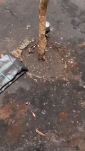 Decking Asli Kayu Bengkirai Panjang 90cm