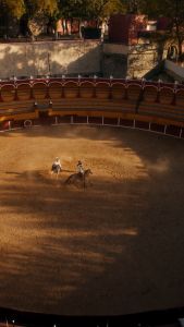 DJI RS 4 Mini - Compact and Lightweight Gimbal for Content Creator | 2nd-Gen Automated Axis Locks | Handles Cameras and Smartphones