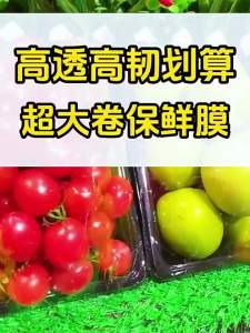 HANSHILIUJIA | Food Grade Antibacterial Disposable PE Wrap