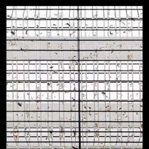 Samsung Buy 1 Get 1 free mosquito killer lamp 40W mosquito killer electric plug in floor-standing ultraviolet lamp tube detachable