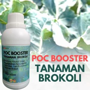 Pupuk untuk tanaman brokoliPupuk booster brokoliPupuk penyubur brokoliPupuk sayur brokoli