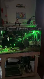 Aquarium Spotlight USB Colorful Gradient Diving Light LED Small Lamp For Romantic Fish Tank