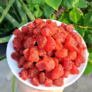 BUY 1 TAKE 1 Dried Strawberries 100% Natural Snacks Dried Strawberries Freeze-dried Strawberries Healthy Snacks