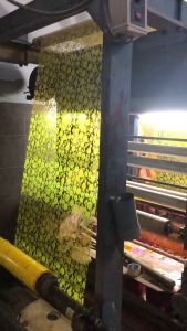 Túi giấy kiếng gói quà tết gấu bông nhiều kích cỡ họa tiết đa dạng