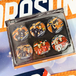 Hinata Shoyo Volleyball Anime Movie Theater Poster Scrapyard Battle Surrounding Cards Collectible Stickers over 14 Years Old