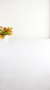 Tas Pinggang Olahraga Motif Kotak Polos Tas Selempang Waistbag Simpel  Pria Wanita New -BK236