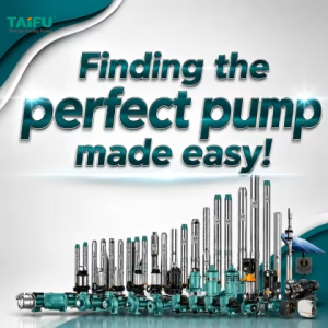 TAIFU STM 4" Deep Well Submersible Pump with Control Box 30M Cable 1.0HP 1.5HP 2.0HP 5.5HP