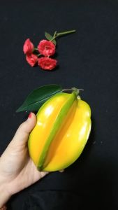 1 Quả khế giả màu vàng - trái cây giả - Hoa giả - TUYET XUAN SHOP