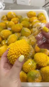Đồ Chơi Bóp Giảm Stress Hình Sầu Riêng Thanh Long Giòn Mềm Thủ Công Đồ Chơi Cảm Giác Giác Quan ASMR Mô Hình Giảm Căng Thẳng Dành Cho Độ Tuổi Từ 14 Trở Lên