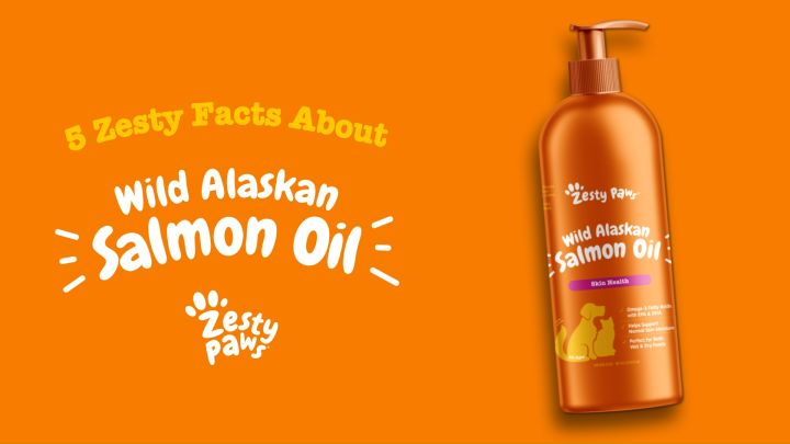 Dầu Cá Hồi cho Chó Mèo, Zesty Paws Wild Alaskan Salmon Oil, dưỡng lông, đẹp  da, giảm rụng lông