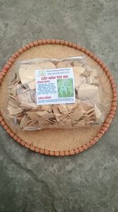 100g cây bàn tay ma sấy khô