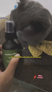 Nurture PRO NANO Colloidal Silver Pet Wound Spray | NurturePRO Natural Healing Antibacterial Antimicrobial Antiviral