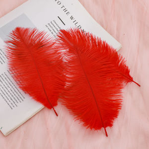 Colorful Ostrich Feather 15-20cm Wedding Decoration Handheld Flower Ornament Wall Decor DIY Dream Catcher Material Popular Online