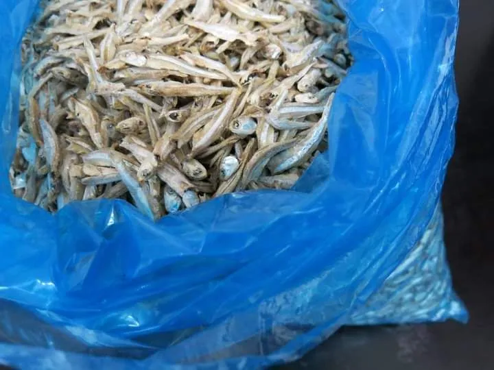 %5BBORONG%5D%20LuLo%20Mart%20Ikan%20Bilis%20Tanjung%20Dawai%20Mata%20Biru%20Size%20M%20Gred%203A%20%E3%80%90100g%E3%80%91%20-%20Image%202