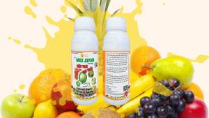 MAX JAPAN PHÌ LỚN TRÁI CHẮC RUỘT – NẶNG KÝ –TO TRÁI – DA CĂNG BÓNG – HẠN CHẾ NỨT TRÁI NÚT GAI 500ML