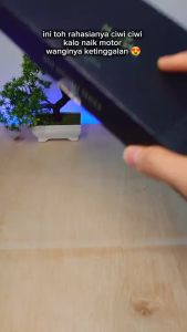 Hy London Parfum Women Series 3in1 Dapat 3 Botol Perfume Exclusive Cewek Parfume Wanita Fresh 35ml