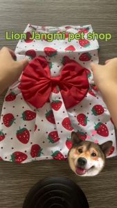 Deepavali Farah Ribbon Dress - Dog Clothes Baju Kucing 狗狗衣服 Cat Clothes Dog Shirt Dress Puppy Clothes Baju Kucing Comel Murah Pet Clothes