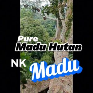 Madu Hutan Liar Murni Asli Sumbawa Kemasan Ekonomis Isi 100 ml