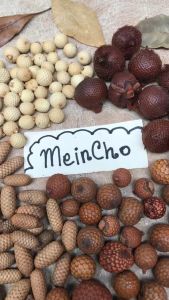 Dekorasi Rustik dengan Buah Rotan Lonjong Bulat & Rotan Salak Mini