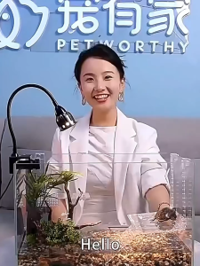 Hanging Turtle Basking Platform Transparent Perforated Climbing Platform with Wide Hook for Small & Medium Turtle