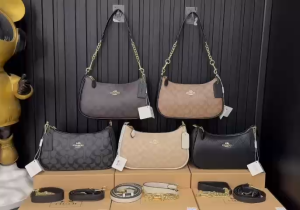 túi COACH kẹp nách +đeo chéo nữ size 24*15*7cm các mau