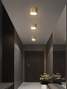 ZHENMEIJU | Modern Minimalist Copper Northern Light Ceiling