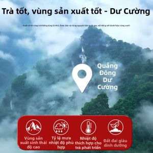 BAOGUOLE | Trà Nụ Hoa Dại Cao Cấp Kumdoong