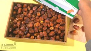 Kurma Sukari Madinah Al Qassim 3kg - Korma sukkari Basah