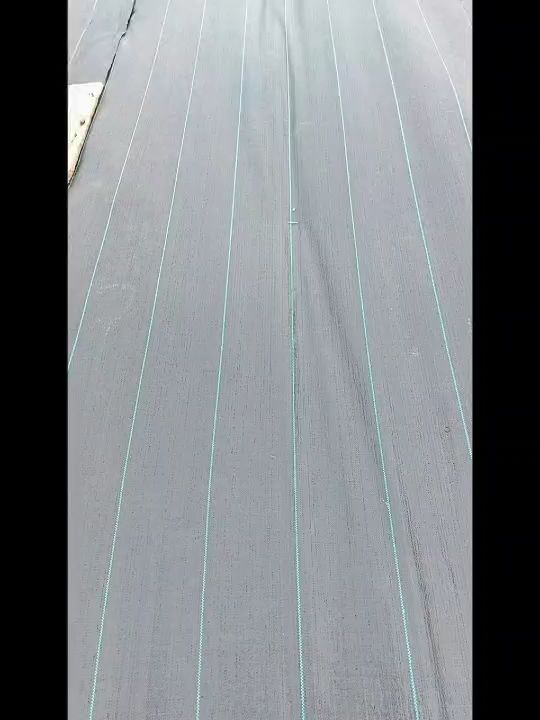 พลาสติกคลุมดิน Union ผสม UV เลือกหน้ากว้าง 0.9-2 เมตร