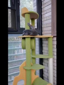 Cat Scratch Post Cat Tree Tower Cat Condo Cat Scratch Tree Cat Tree Cat Tower Cat Condo Cat Tree Climbing Cat Tower Cat Villa Cute Luxury Cheap Cat Toy