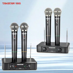 Dual Wireless Microphone for Home Entertainment Performance Conference